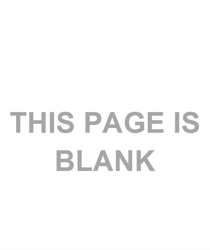 THIS PAGE IS BLANK
