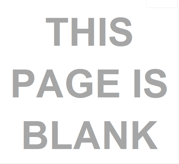 THIS PAGE IS BLANK