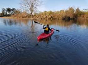 Image result for photos of kayaking in georges river