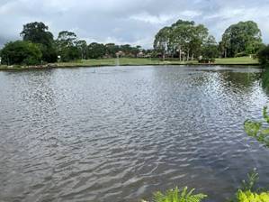 A body of water with trees around it

Description automatically generated with medium confidence