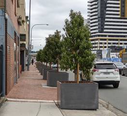 A sidewalk with trees and a fence

Description automatically generated