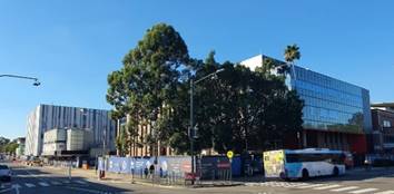 A street with a building and trees

Description automatically generated