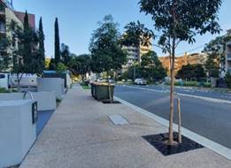 A street with trees and buildings

Description automatically generated
