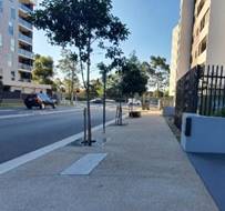 A sidewalk with trees and a fence

Description automatically generated