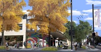 A tree with yellow leaves on the side of a street

Description automatically generated