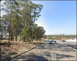A road with trees and buildings in the background

Description automatically generated