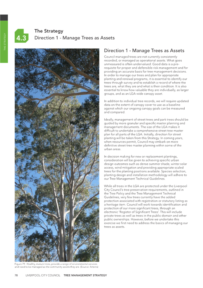 A close-up of a tree

Description automatically generated