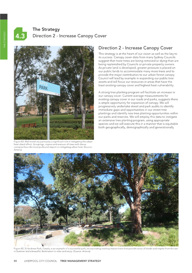 A close-up of a park

Description automatically generated