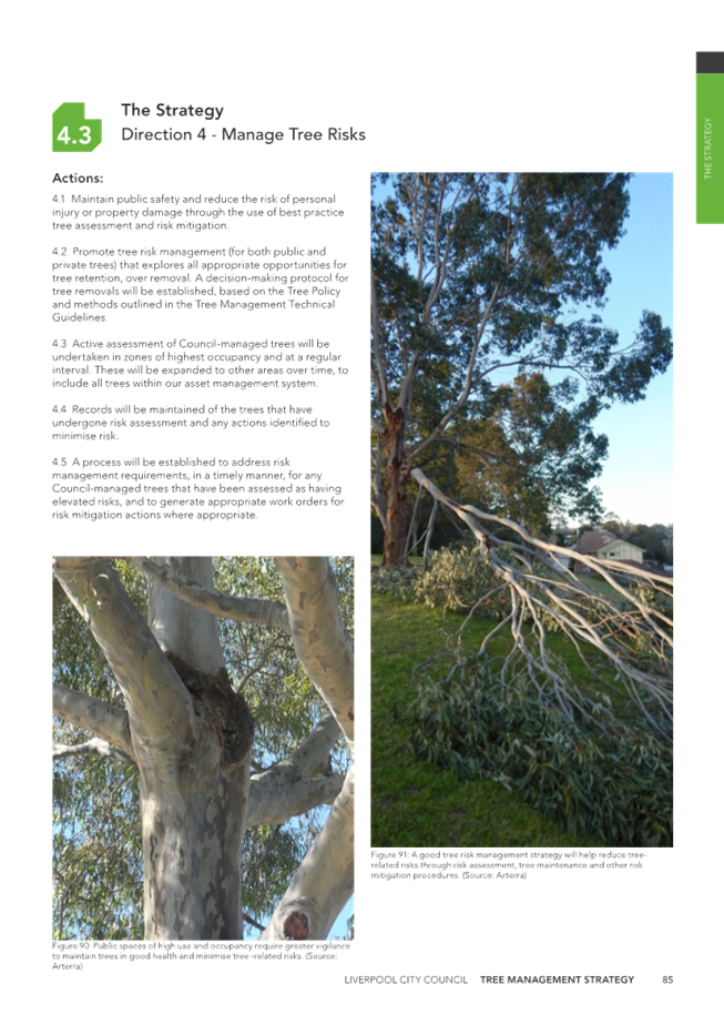 A tree with a fallen branch

Description automatically generated