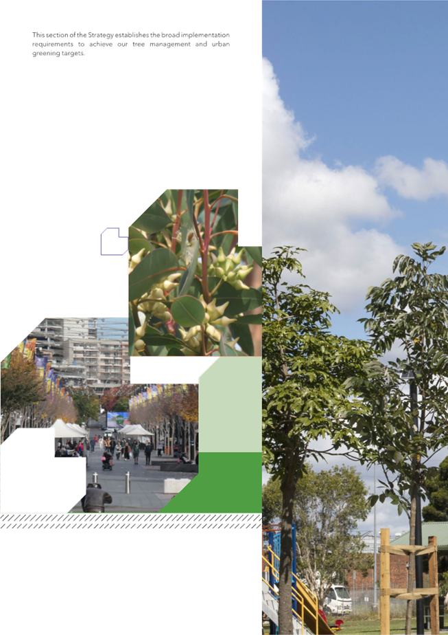 A collage of a street with trees

Description automatically generated