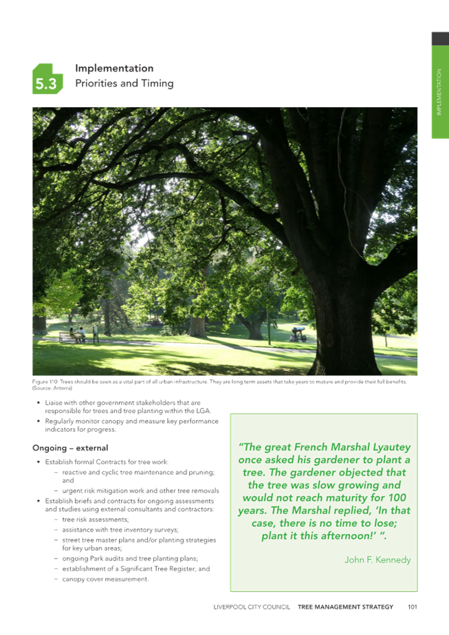A close-up of a tree

Description automatically generated