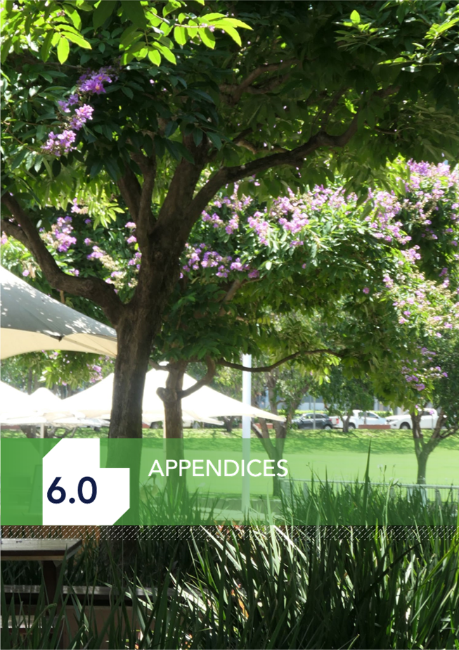 A group of trees with purple flowers

Description automatically generated