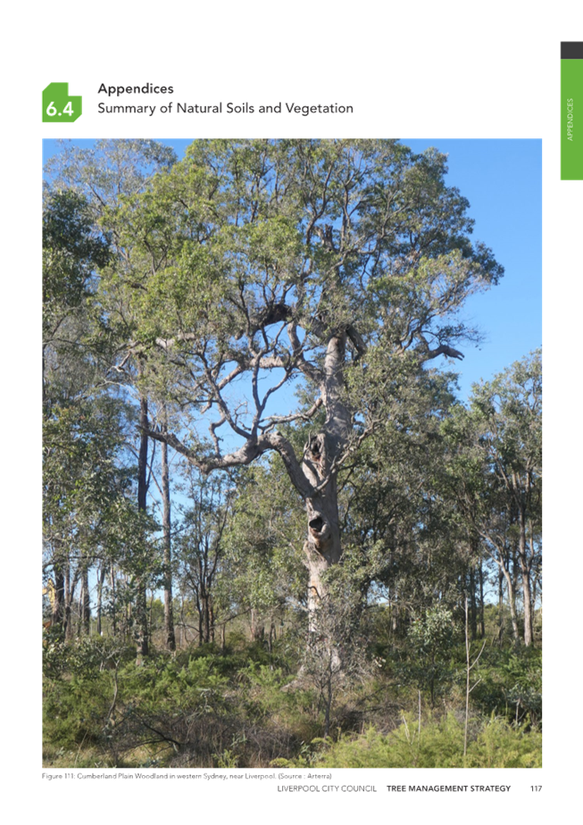 A screenshot of a cell phone

Description automatically generated