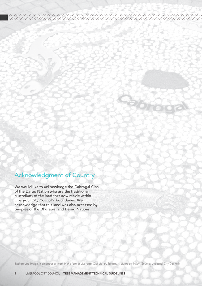 A white and grey background with text

Description automatically generated with medium confidence