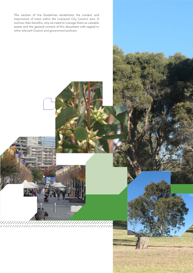 A collage of trees and people

Description automatically generated