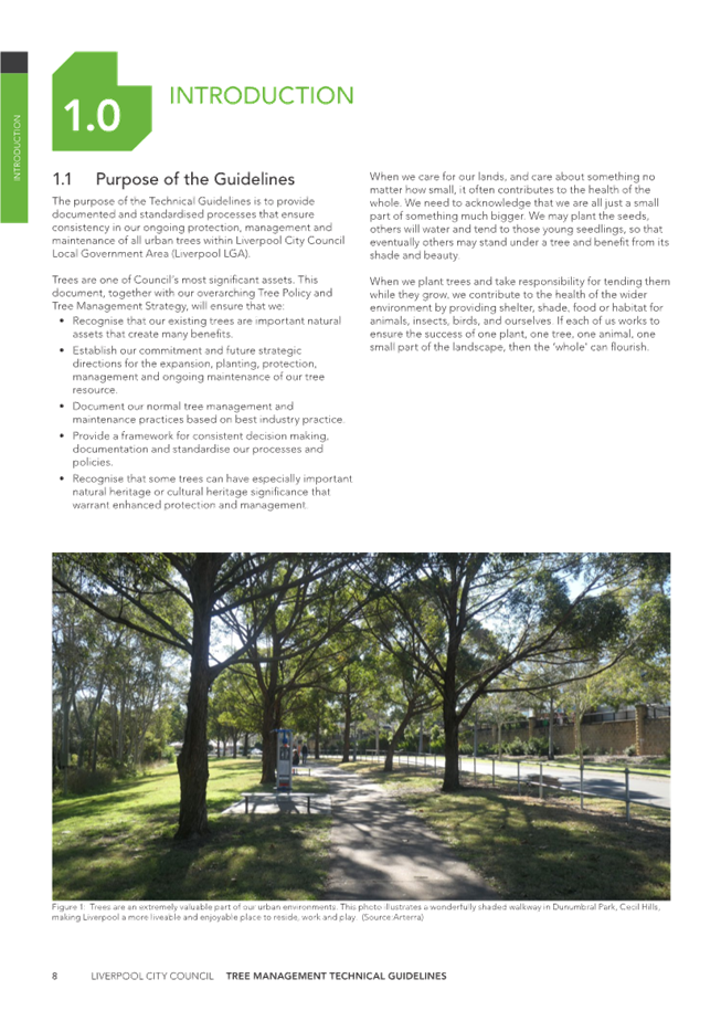 A page of a brochure

Description automatically generated