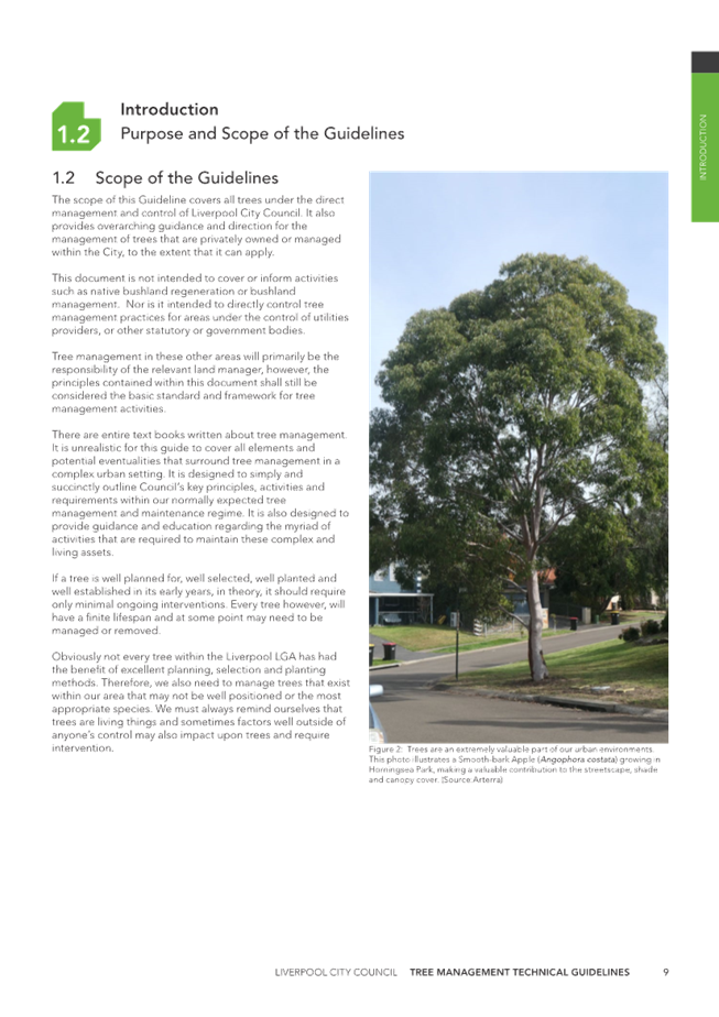 A tree next to a road

Description automatically generated