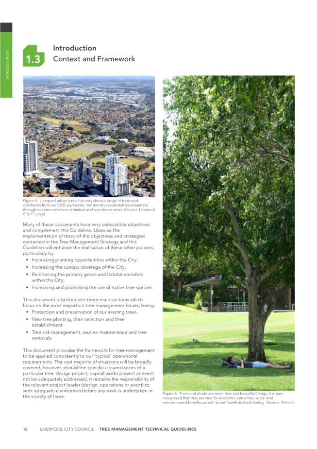 A magazine with a tree and a person lying on the grass

Description automatically generated with medium confidence