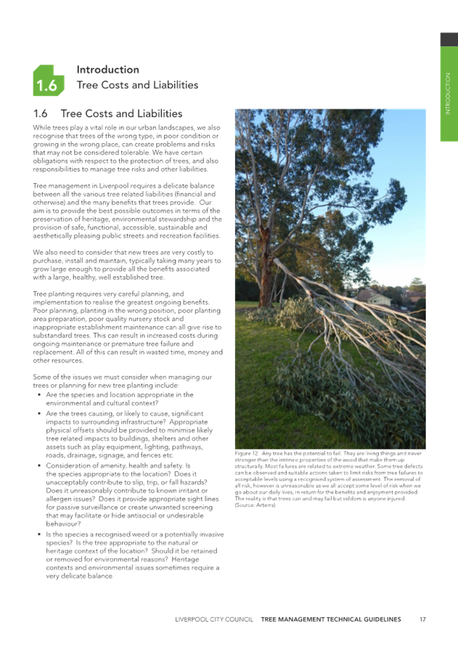 A tree branch falling from a tree

Description automatically generated with medium confidence