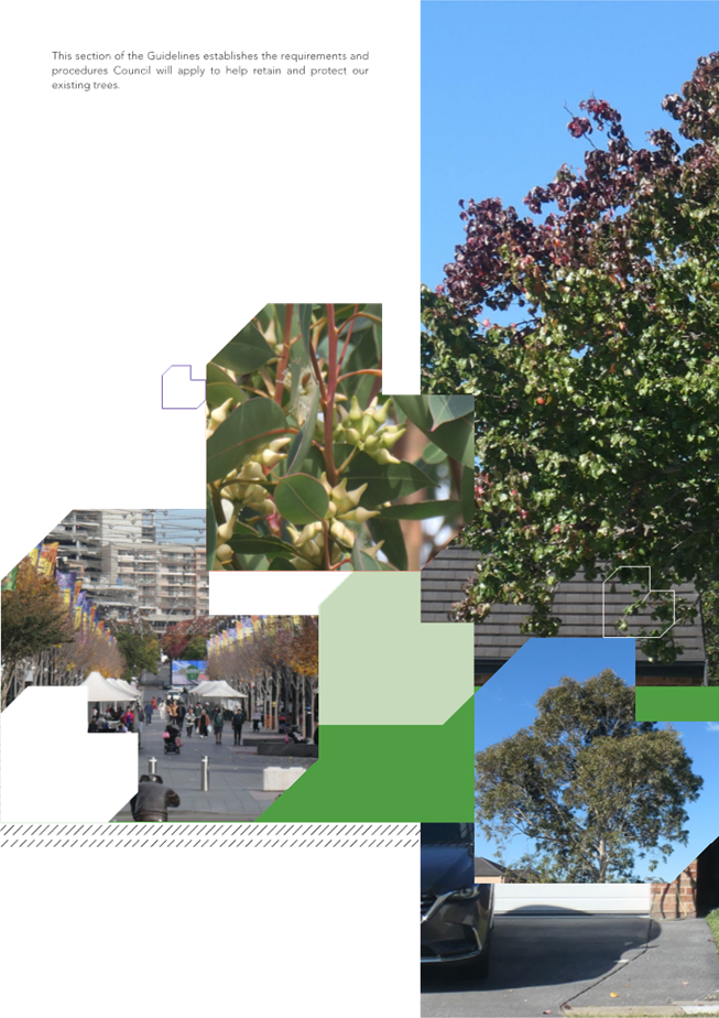 A collage of a tree

Description automatically generated