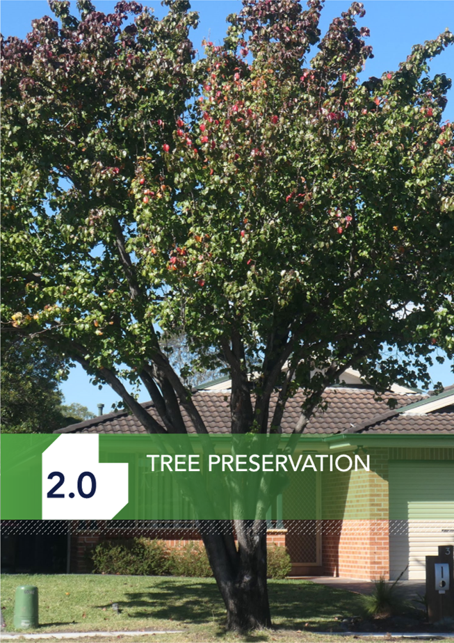 A tree in front of a house

Description automatically generated
