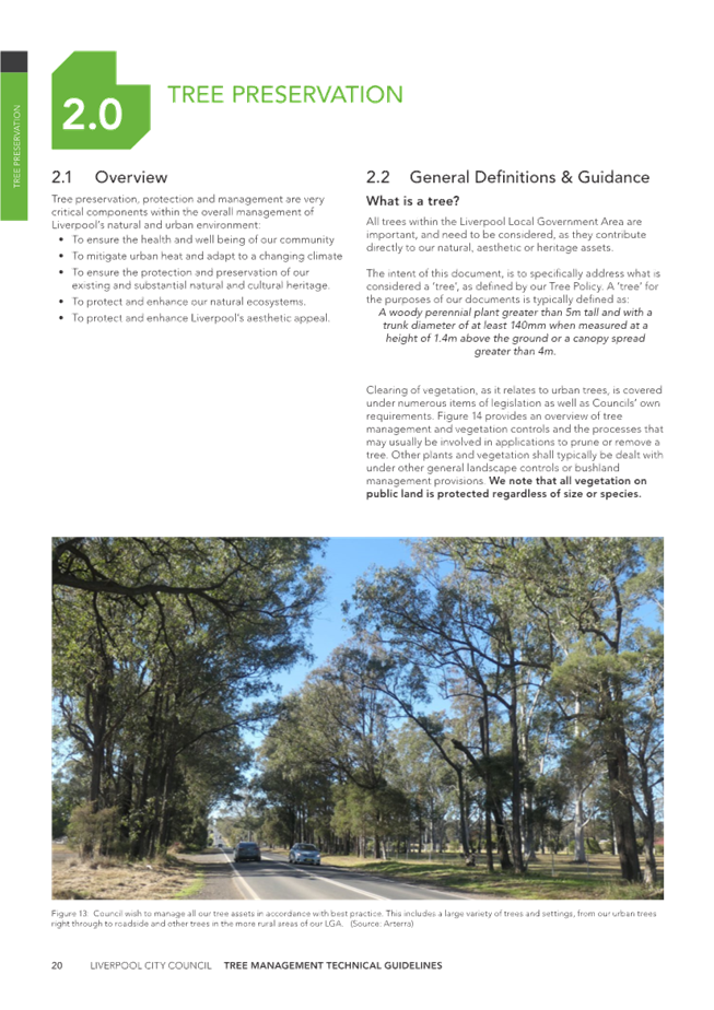 A page of a brochure

Description automatically generated