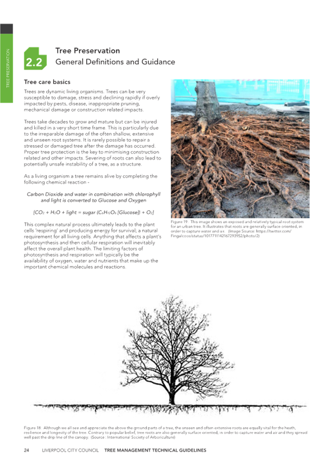 A tree with roots and text

Description automatically generated