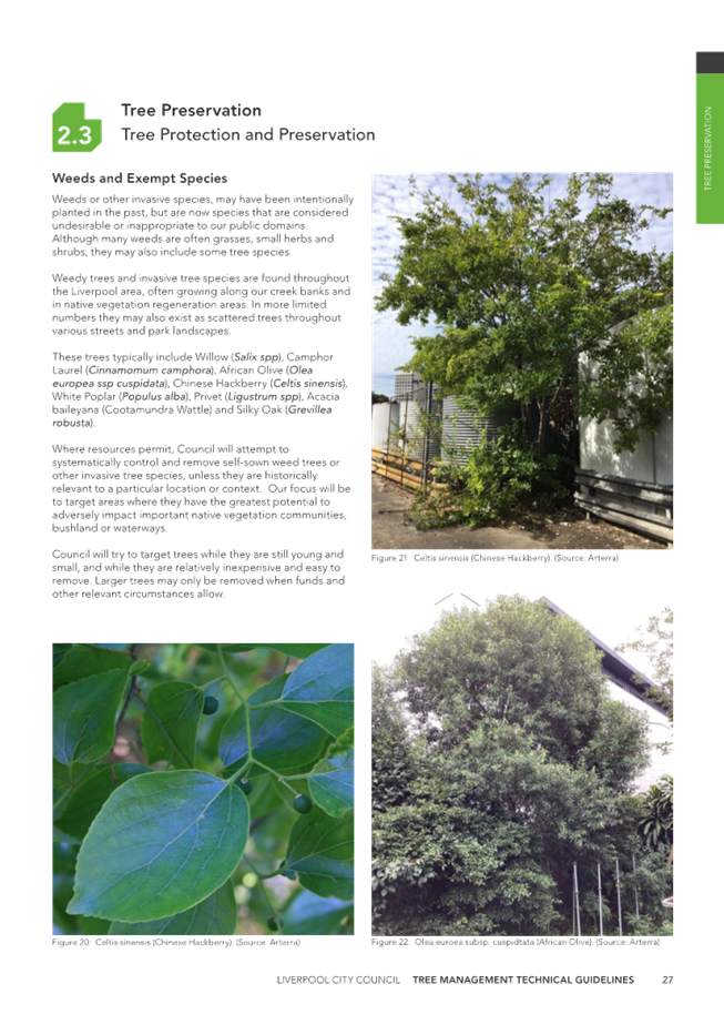A close-up of a magazine

Description automatically generated