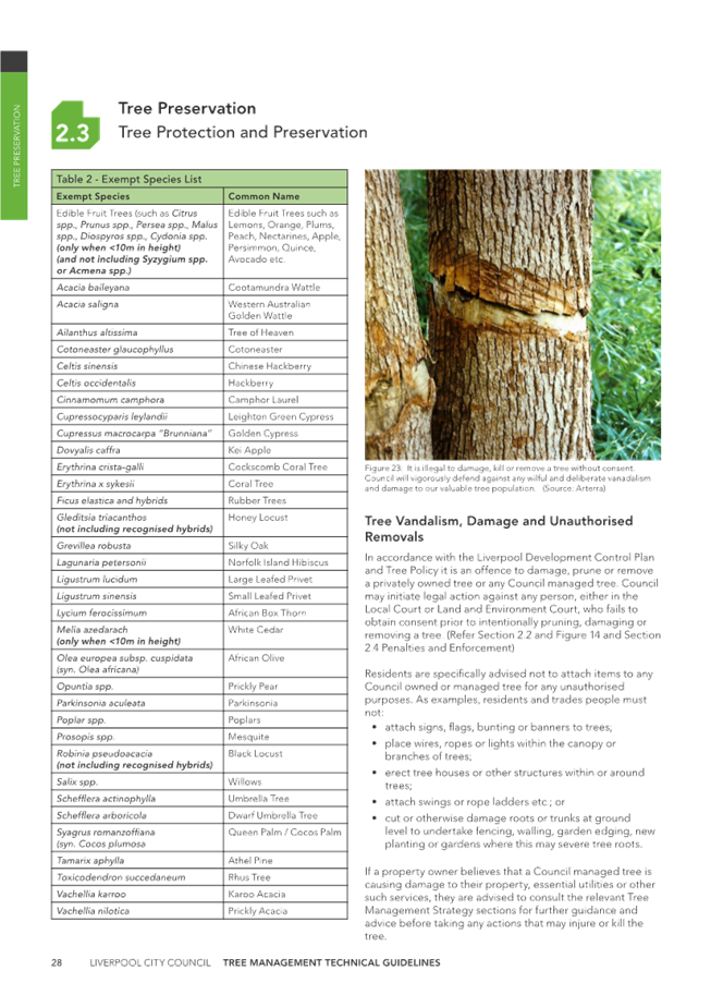 A close-up of a tree trunk

Description automatically generated