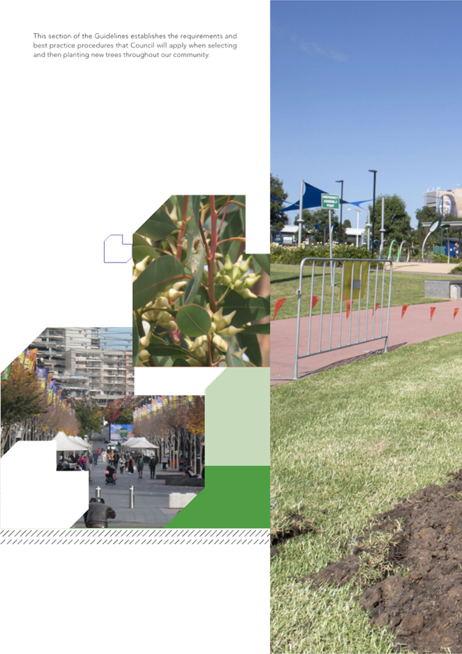 A collage of a park

Description automatically generated
