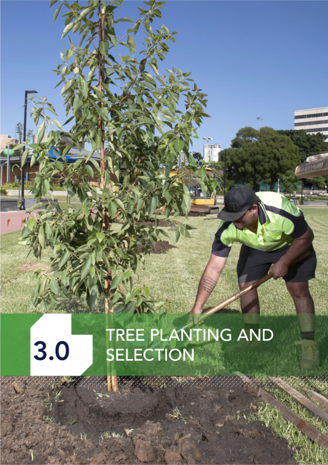 A person working in a garden

Description automatically generated