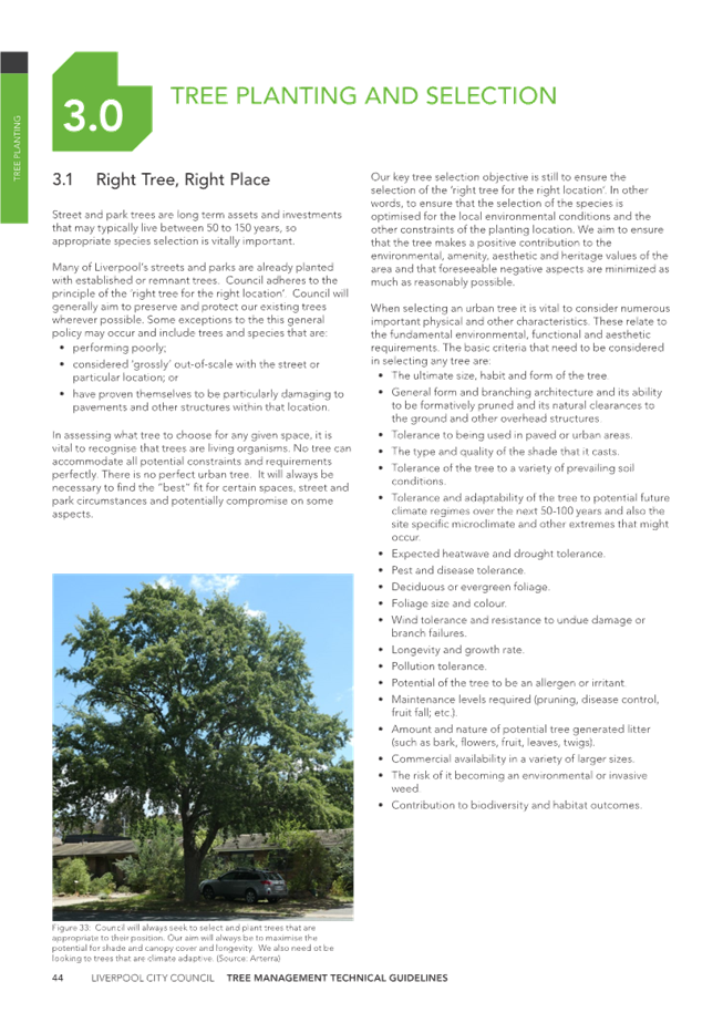 A page of a book with text

Description automatically generated