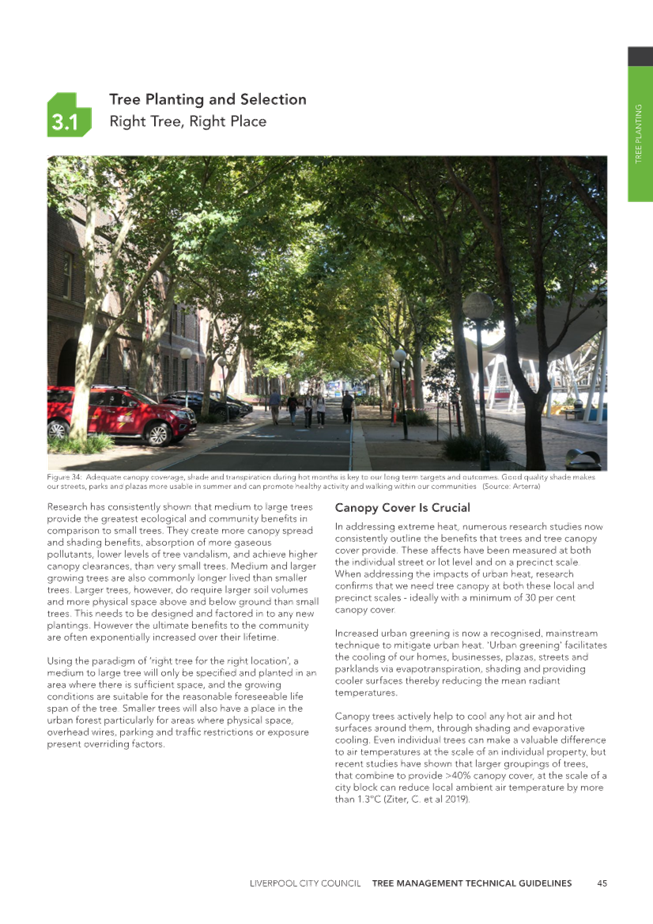 A newspaper with text and trees

Description automatically generated