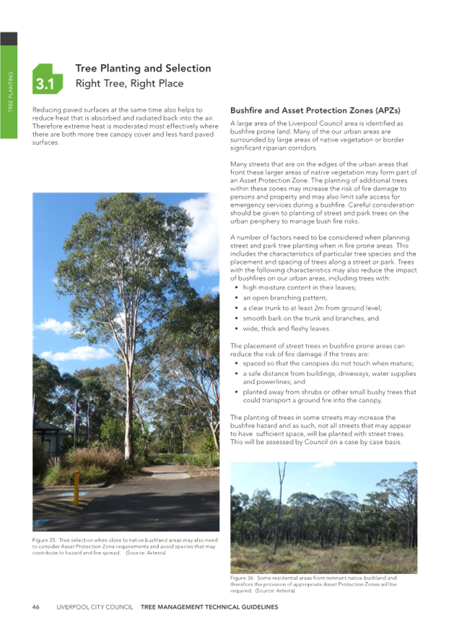 A page of a magazine

Description automatically generated