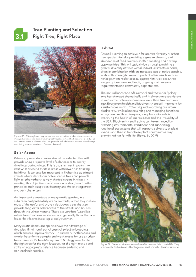 A close-up of a newspaper

Description automatically generated