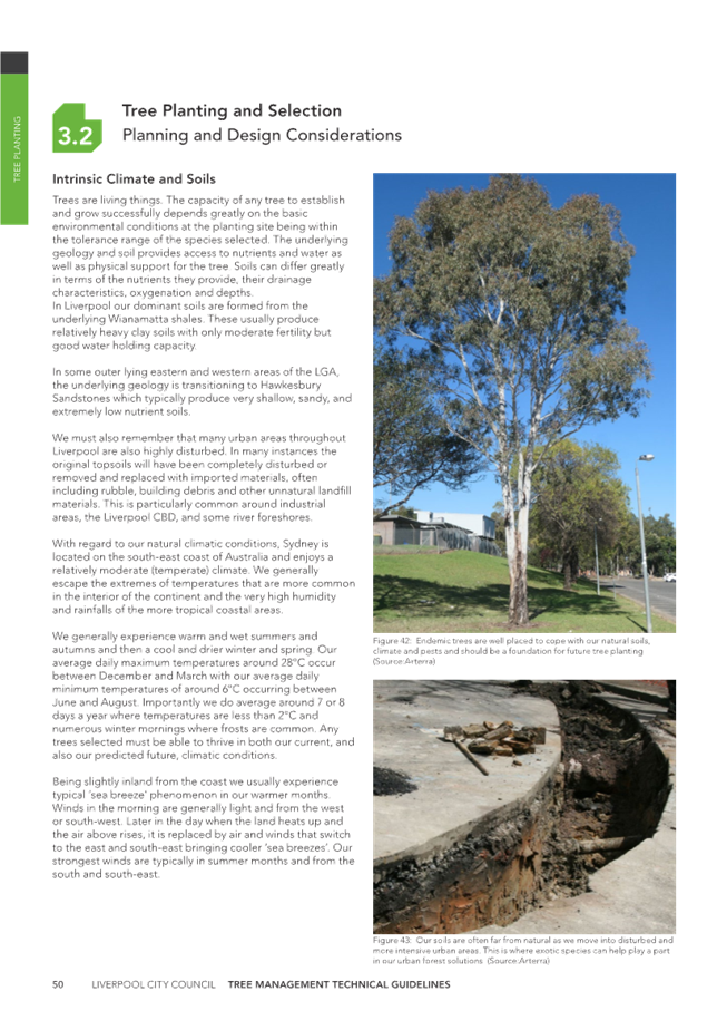A newspaper with text and images of trees and a large hole in the ground

Description automatically generated