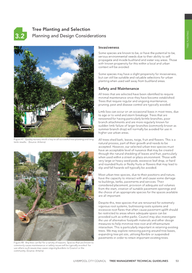 A close-up of a page

Description automatically generated