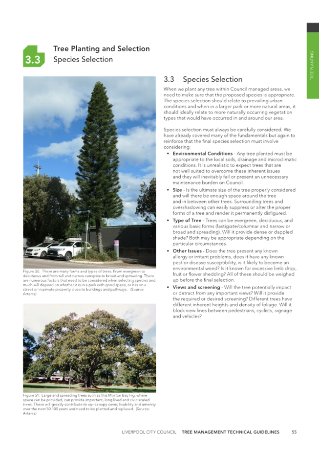A page of a brochure

Description automatically generated