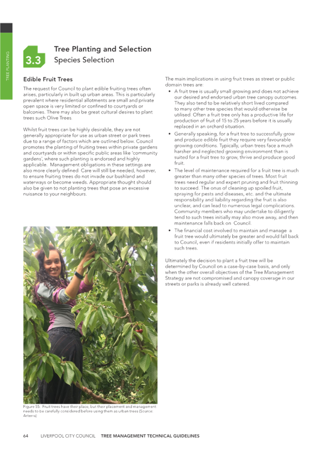 A person standing in a tree

Description automatically generated