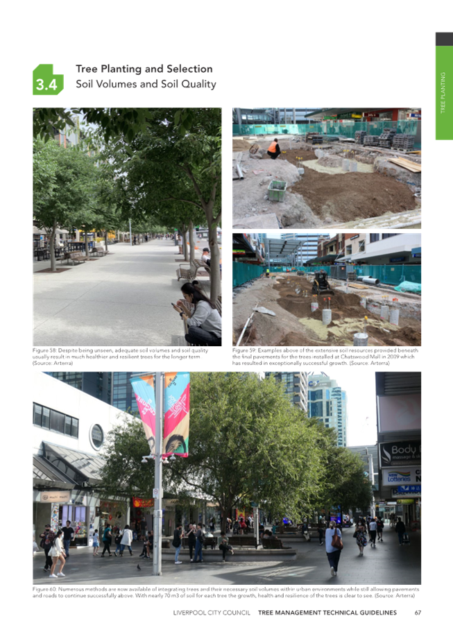 A collage of images of a city

Description automatically generated