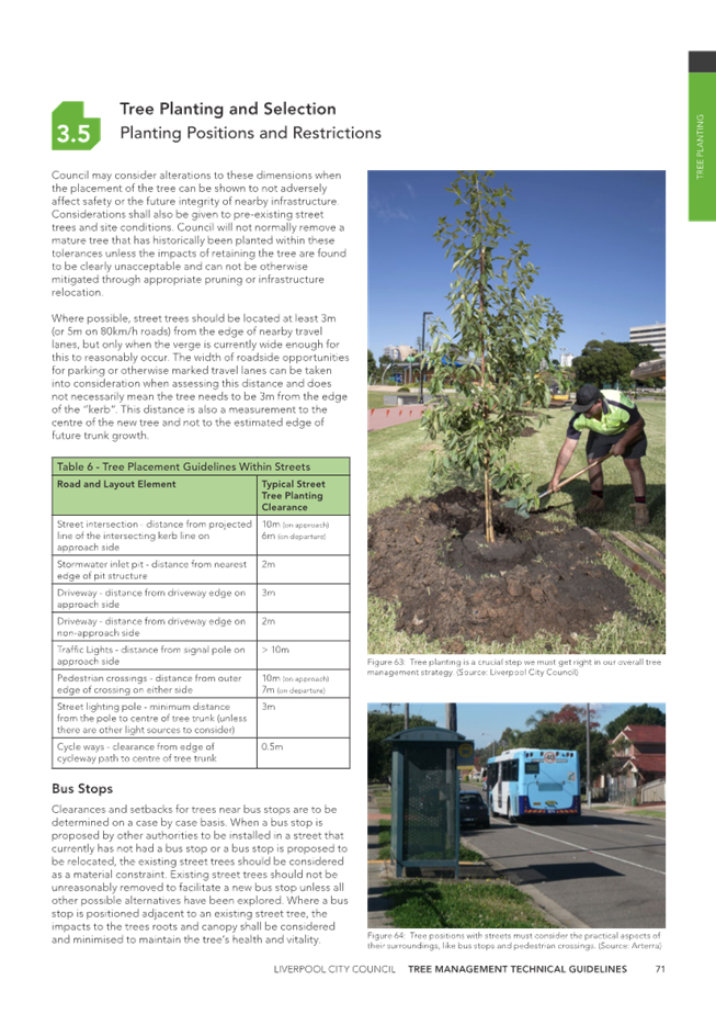 A person planting a tree

Description automatically generated