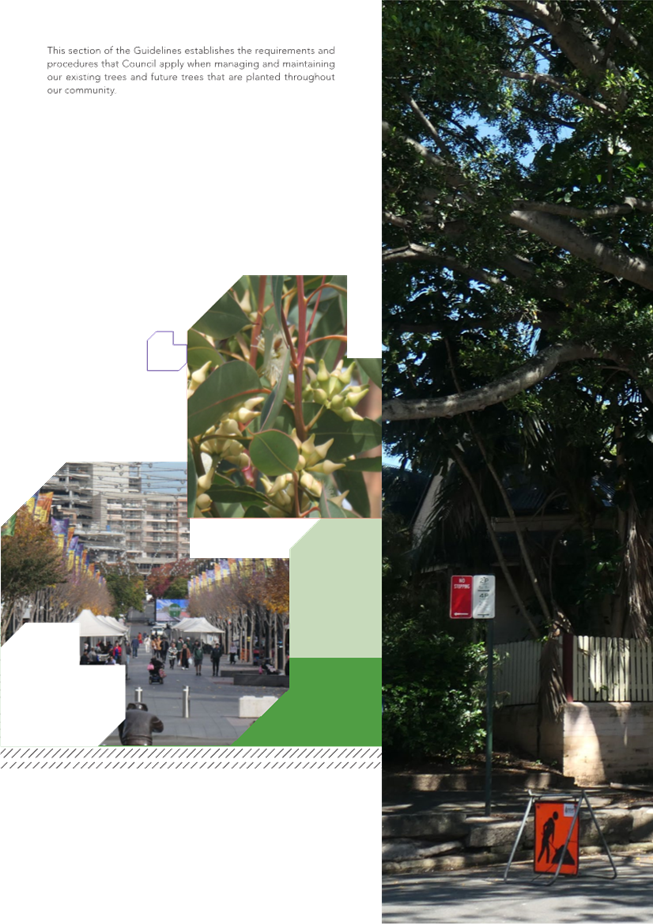 A collage of a street with trees and buildings

Description automatically generated