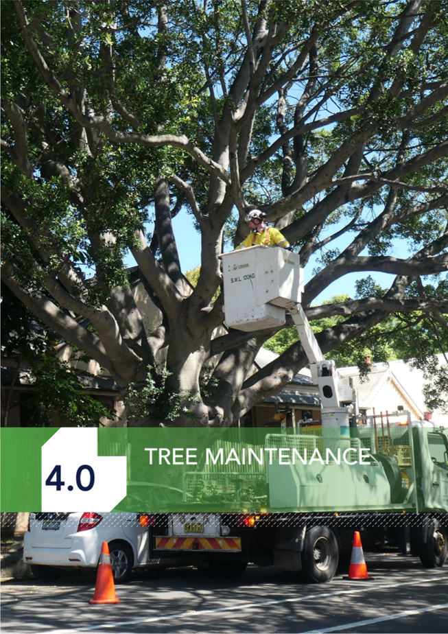 A person in a bucket on a truck

Description automatically generated