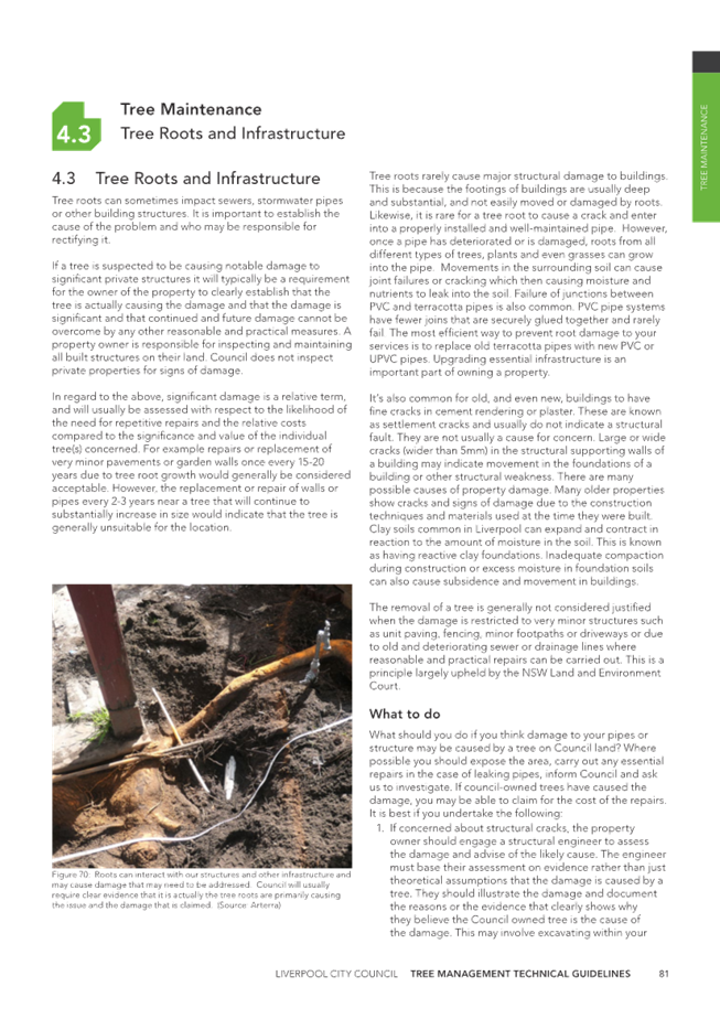 A close-up of a newspaper

Description automatically generated