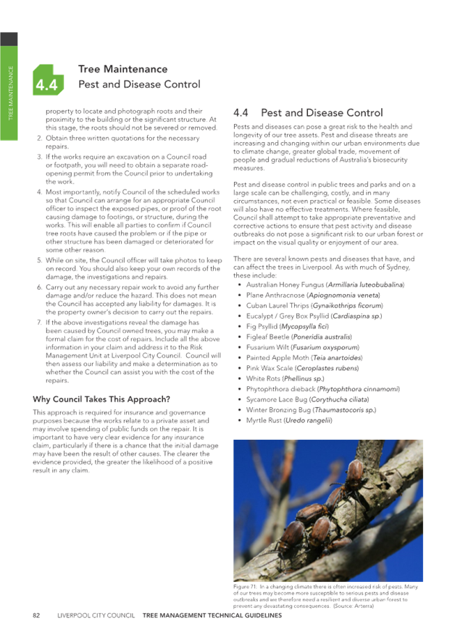 A close-up of a page

Description automatically generated