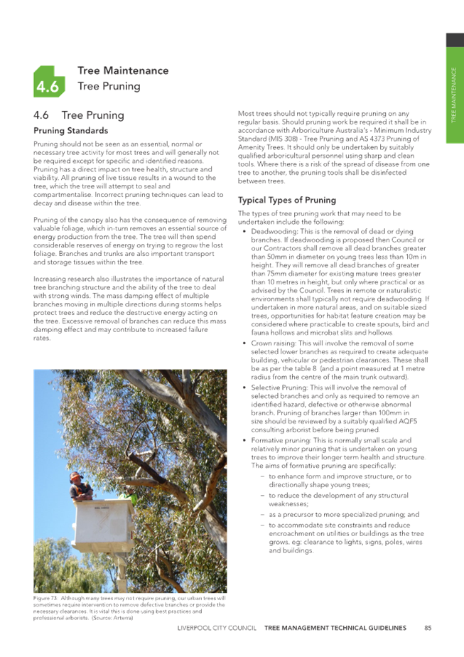 A page of a tree pruning

Description automatically generated