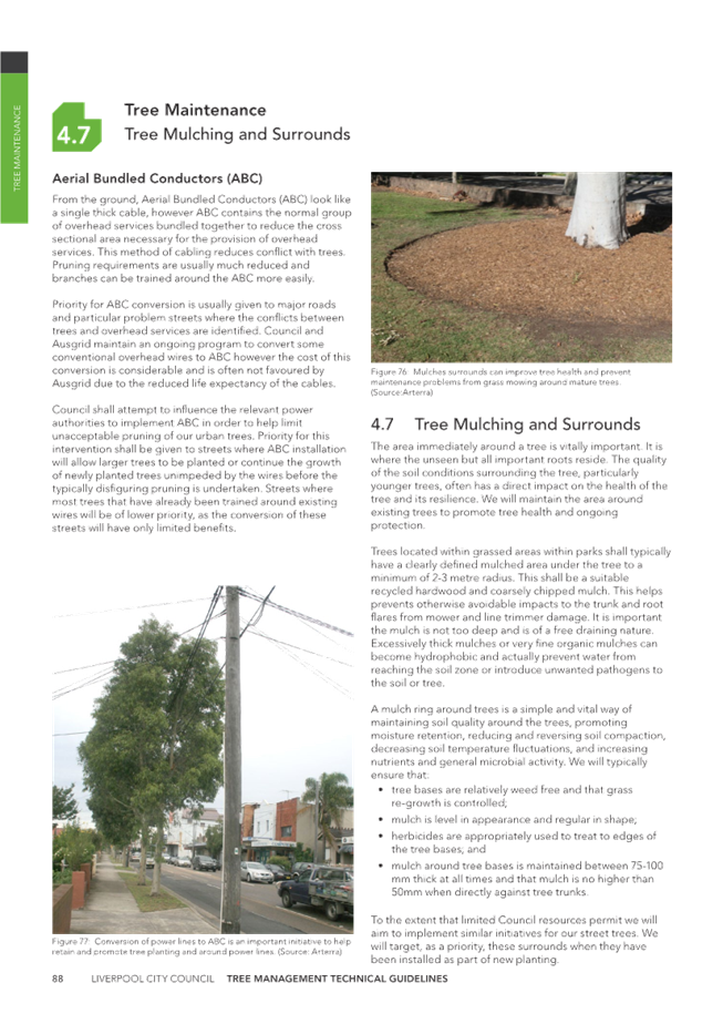 A page of a newspaper

Description automatically generated with medium confidence