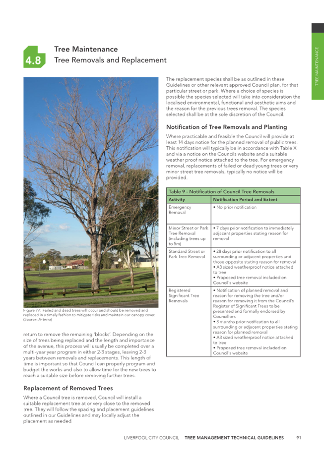 A tree with no leaves

Description automatically generated