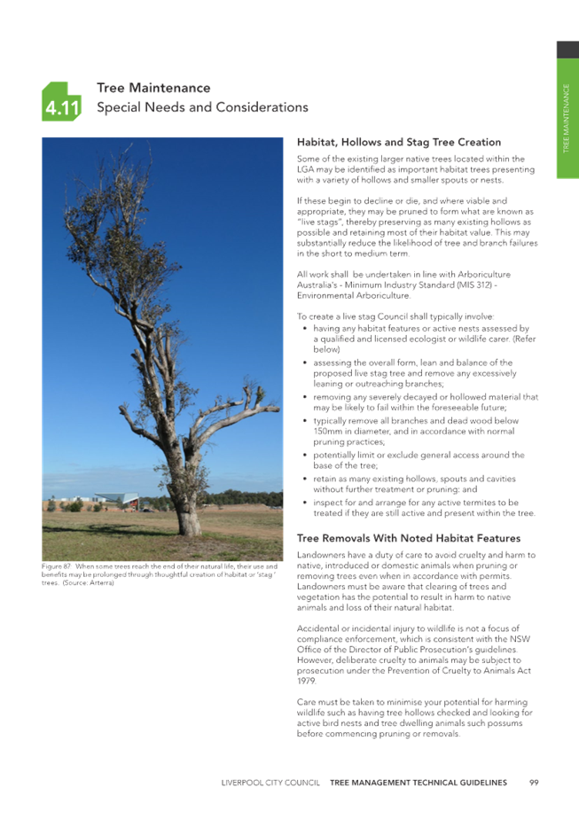 A tree with no leaves

Description automatically generated