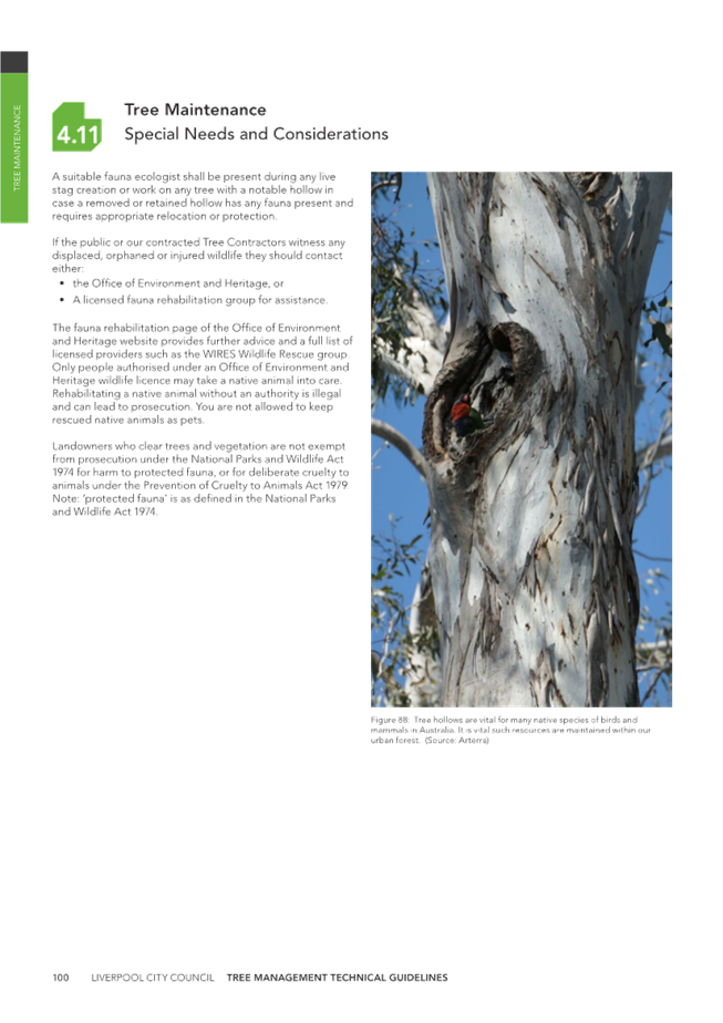 A close-up of a tree

Description automatically generated